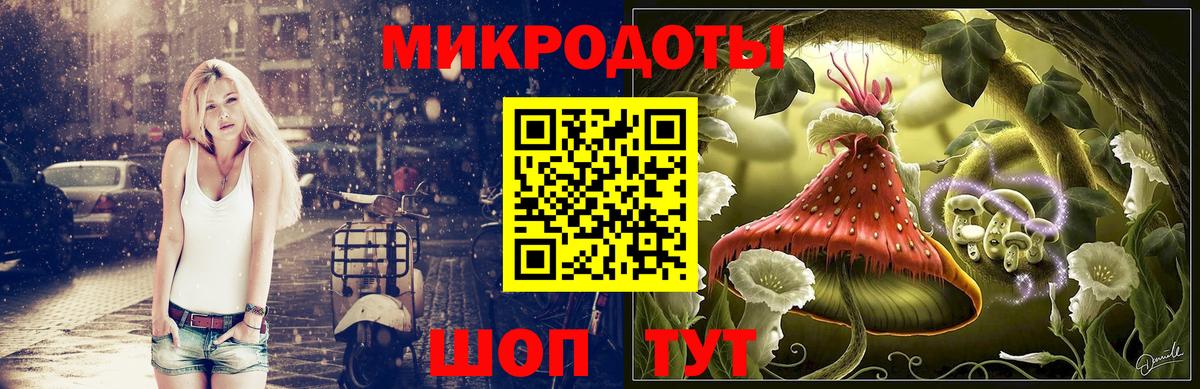 Псилоцибиновые грибы прущие грибы  купить   Борзя  Вход с VPN 